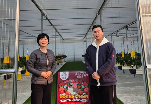 Two people in greenhouse beside Dochi Farm strawberry sign with Korean text and contact info.