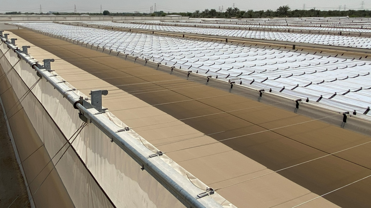 Overview roof greenhouse in Middle East